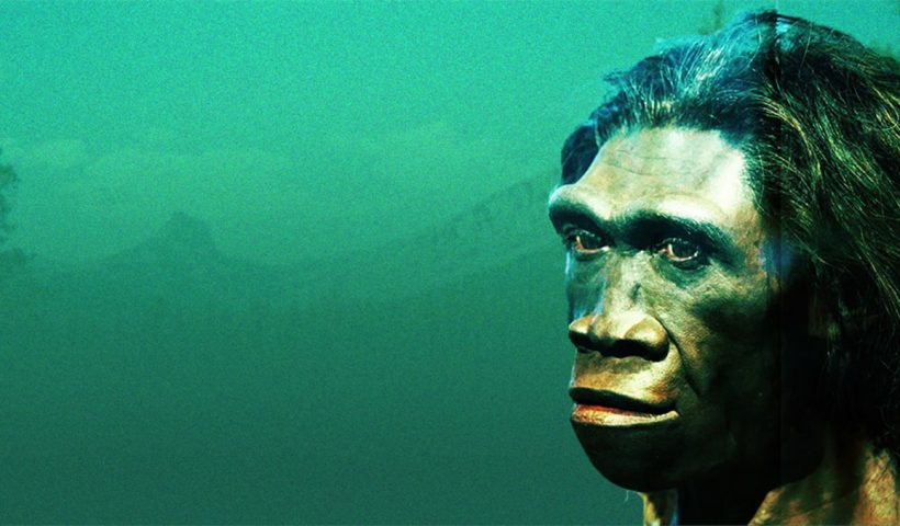 كادت أسلاف البشر أن تنقرض قبل 900 ألف سنة