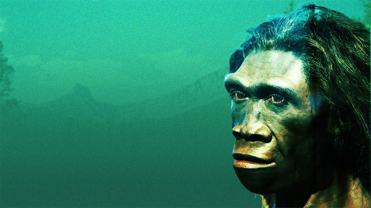 كادت أسلاف البشر أن تنقرض قبل 900 ألف سنة